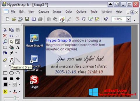 ภาพหน้าจอ HyperSnap สำหรับ Windows 8
