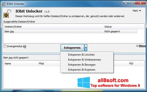 ภาพหน้าจอ IObit Unlocker สำหรับ Windows 8