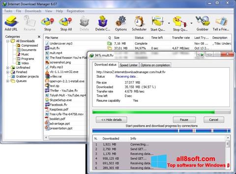 ภาพหน้าจอ Internet Download Manager สำหรับ Windows 8